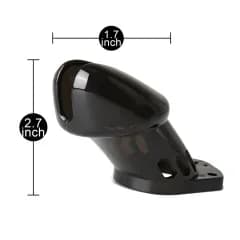 Thumbnail for image at index 1