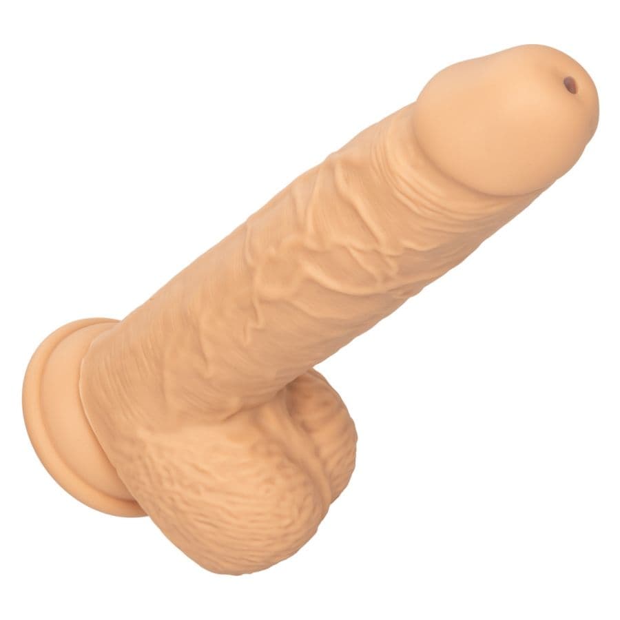 Thumbnail for image at index 1