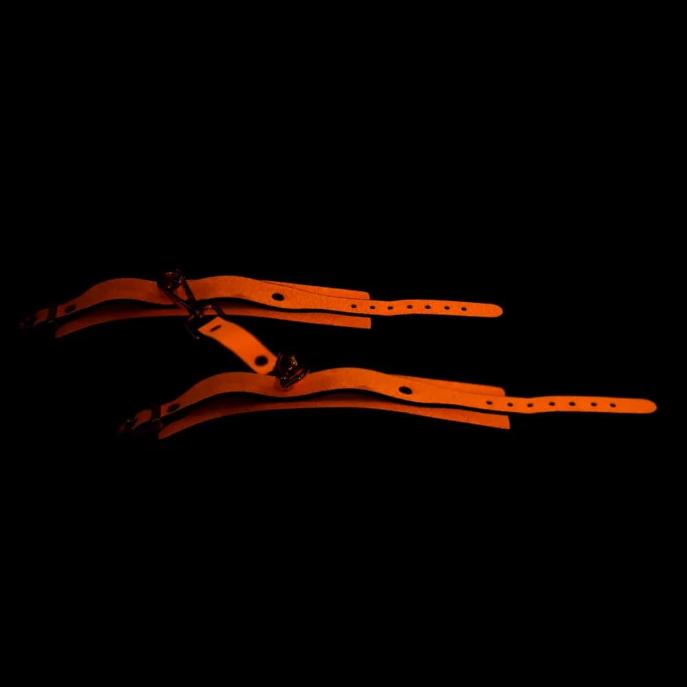 Thumbnail for image at index 2