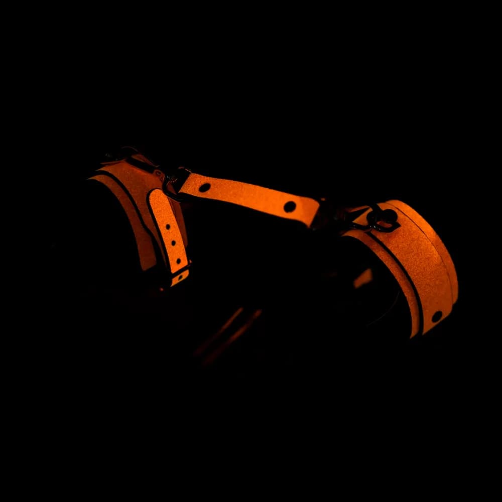 Thumbnail for image at index 3