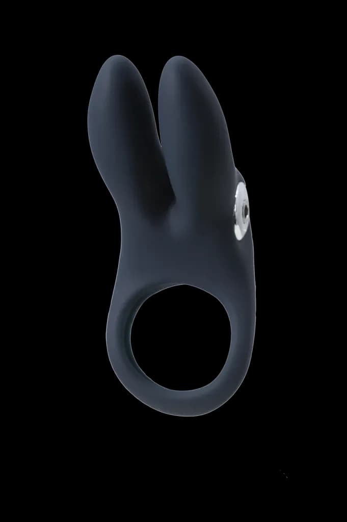 Thumbnail for image at index 1