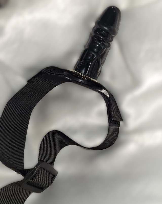 HARNAIS DE JAMBE image