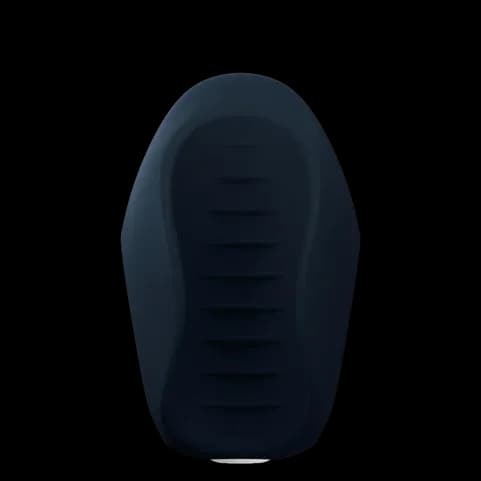 Thumbnail for image at index 1